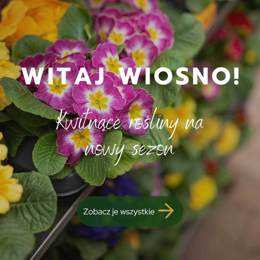 Rośliny wiosenne